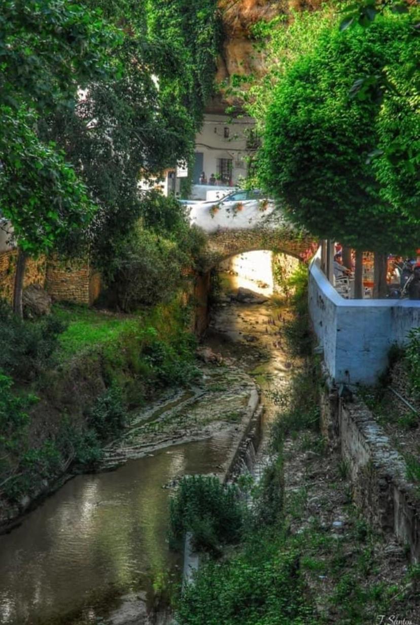 Casa Cueva Un Rincon En La Roca Villa Setenil De Las Bodegas Buitenkant foto